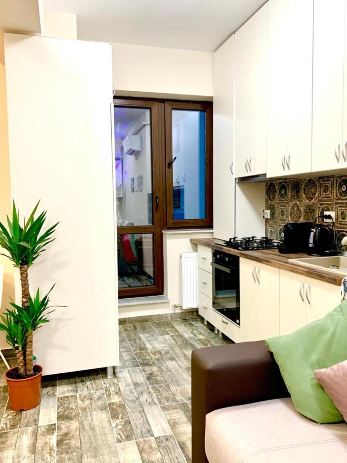 Cityscape Apartment Near Palas Mall 이아시 외부 사진
